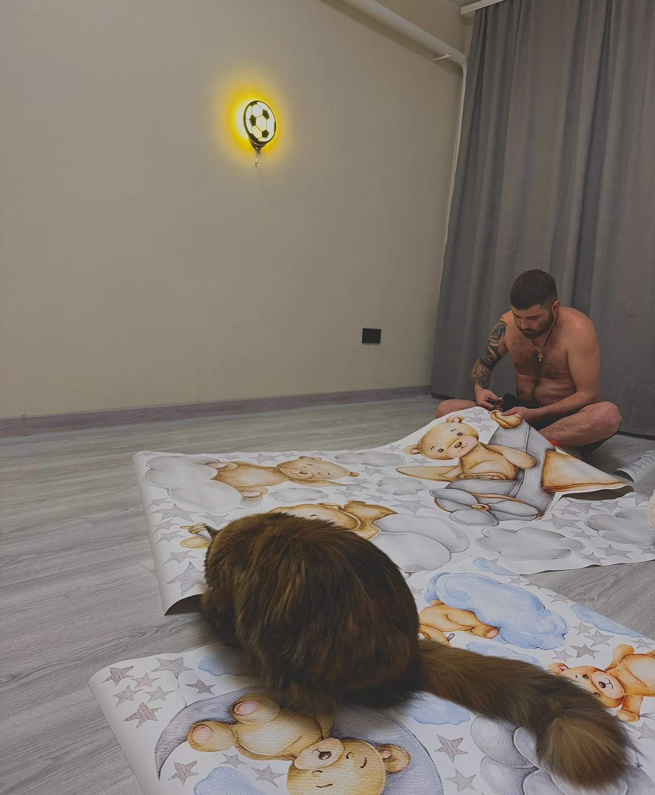 Bears Wall Decals 6.0