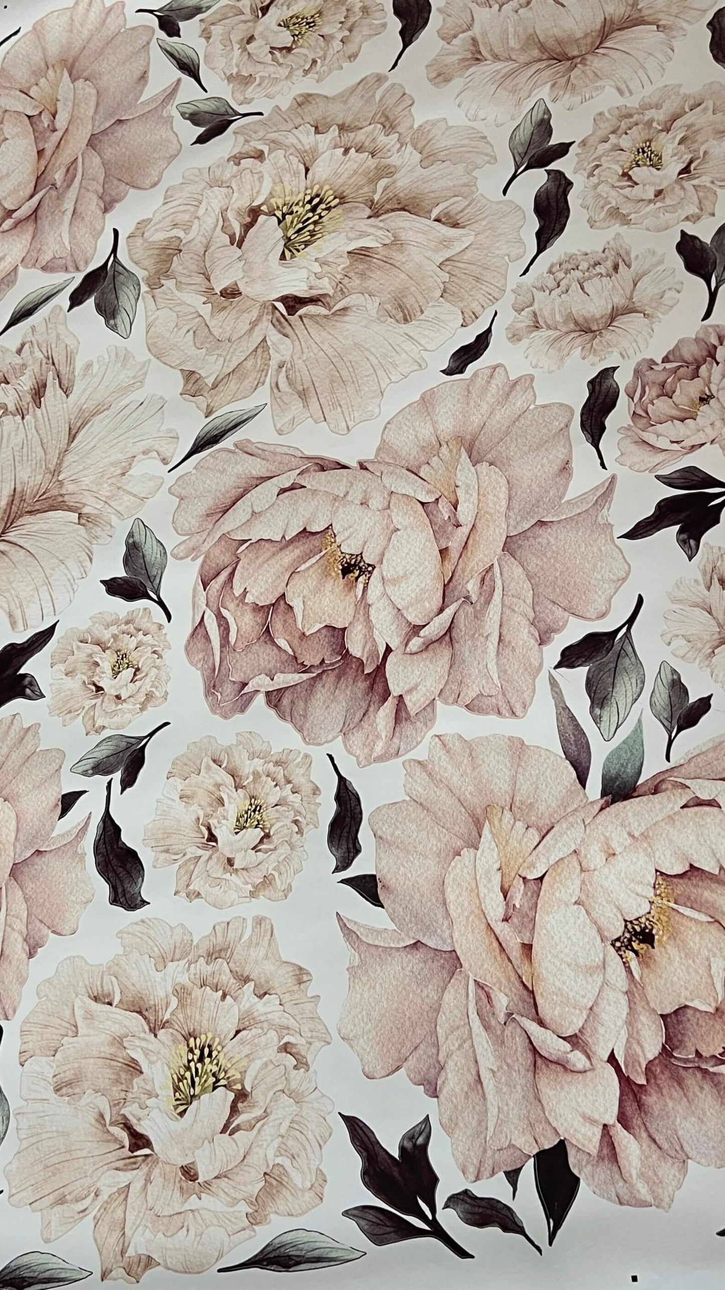 Peony Wall Decals 6.4