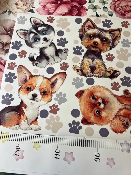 Dogs Wall Decals 14.8
