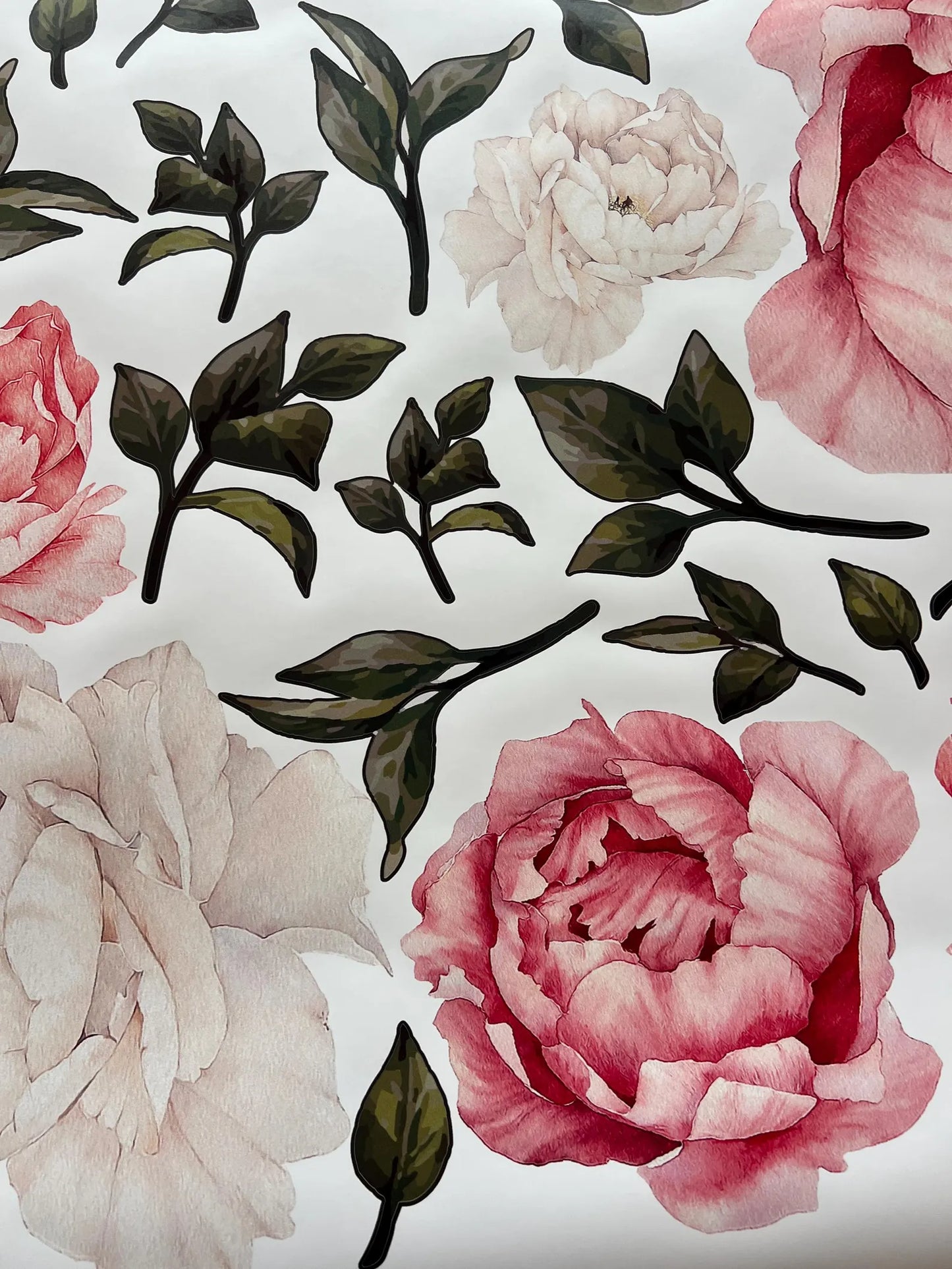 Peonies Wall Decals 1.14