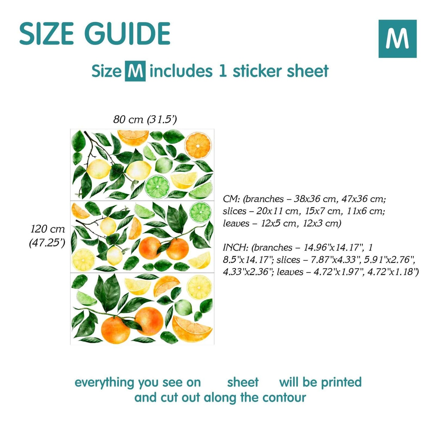 Citrus Fruit Wall Decals
