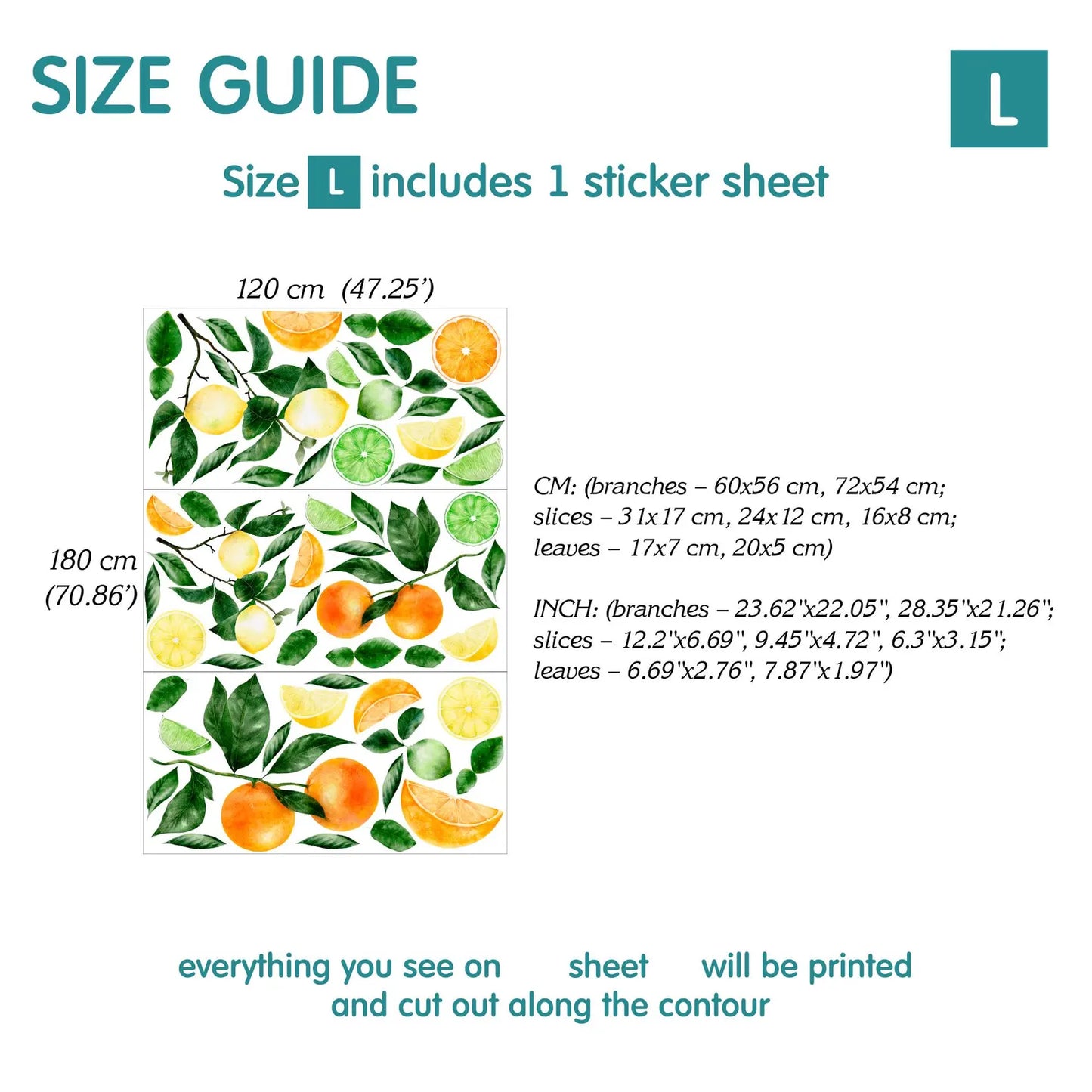 Citrus Fruit Wall Decals
