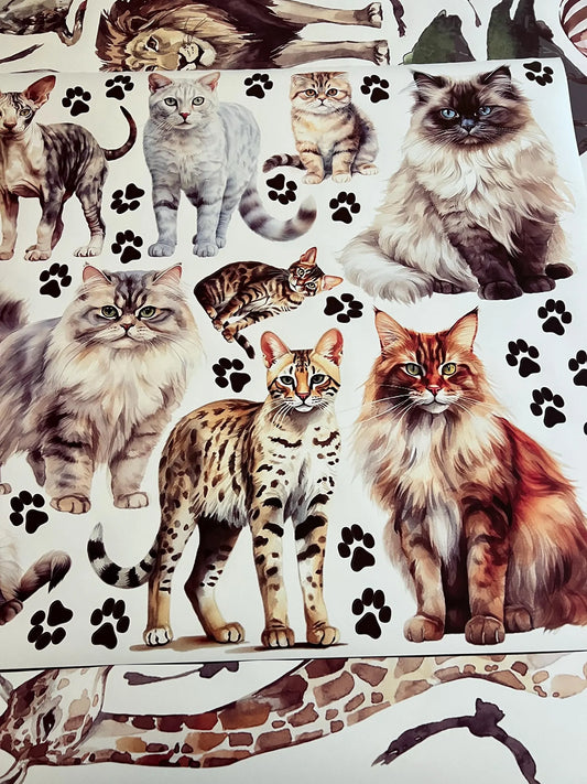 Cats Wall Decals 6.0