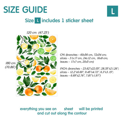 Citrus Fruit Wall Decals