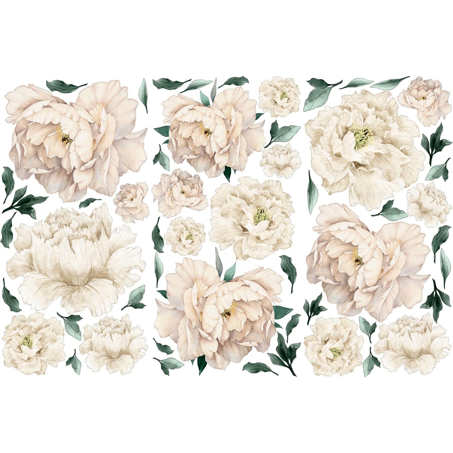 Peony Wall Decals 6.4
