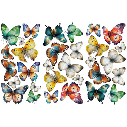 Colorful Butterfly Wall Decals