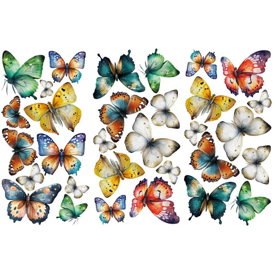 Colorful Butterfly Wall Decals